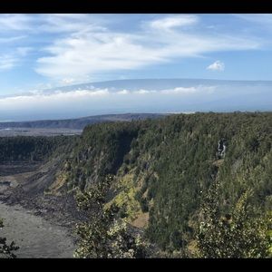 Meet your Posher, Darrell